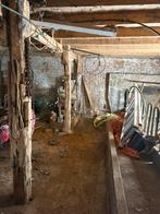 Ontruimingen huis en tuin, Antiek en Kunst, Ophalen of Verzenden