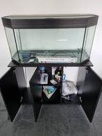 Aquarium Juwel Rio (180 liter) inclusief bijbehorende kast, Gebruikt, Ophalen, Leeg aquarium