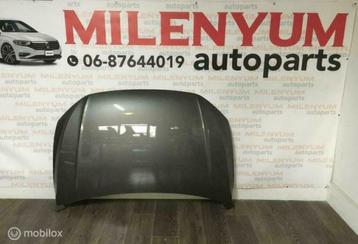 VOLKSWAGEN POLO 2G MOTORKAP NIEUW (2017---) LA7N beschikbaar voor biedingen