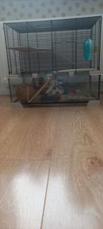 Hamsterkooi, Dieren en Toebehoren, Ophalen