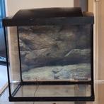 Complete starters-set aquarium, Dieren en Toebehoren, Vissen | Aquaria en Toebehoren, Ophalen of Verzenden, Zo goed als nieuw