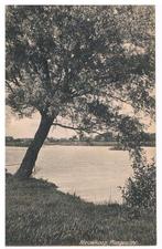 Nieuwkoop. Plasgezicht, Verzamelen, Ansichtkaarten | Nederland, Ophalen of Verzenden, 1920 tot 1940, Gelopen, Zuid-Holland