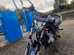Suzuki GS500 - Betrouwbare Naked Bike, Motoren, 2 cilinders, Motorrijbewijs A, Particulier, Meer dan 35 kW