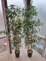 Kunstplanten 2 stuks ongeveer 150 cm hoog, Ophalen of Verzenden, Volle zon, Overige soorten
