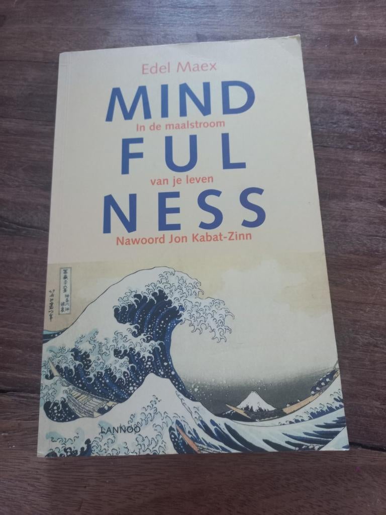 Edel Maex - Mindfulness, Zo goed als nieuw, Instructieboek, Overige onderwerpen, Edel Maex