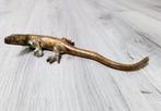 vintage messing salamander, Antiek en Kunst, Ophalen of Verzenden