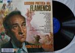 Gonzales de Hervas - Leccion poetica del flamenco, Ophalen of Verzenden, Gebruikt, 12 inch, Europees