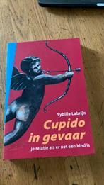 S. Labrijn - Cupido in gevaar, Maatschappij en Samenleving, Ophalen of Verzenden, Zo goed als nieuw, S. Labrijn