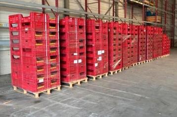 550 stuks rode kratten 6040 beschikbaar voor biedingen