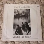 The Bluebells  - Young at heart  (piraten topper), Ophalen of Verzenden, Gebruikt, Pop