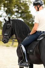 Super brave friese ruin te koop, verkeersmak!, Dieren en Toebehoren, Gechipt, Ruin, Dressuurpaard, 3 tot 6 jaar