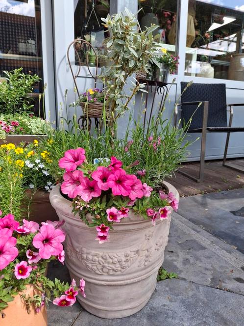 Terracotta met druivenrank 3 maten, Tuin en Terras, Bloempotten, Nieuw, Terracotta, Binnen, Balkon, Tuin, Rond, Ophalen