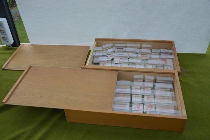 2 houten kisten met oude schoolstempels Geschiedenis /2e WO, Antiek en Kunst, Antiek | Schoolplaten, Geschiedenis, Ophalen of Verzenden
