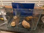 Aquarium  45 x 32 x 32, Dieren en Toebehoren, Vissen | Aquaria en Toebehoren, Ophalen, Zo goed als nieuw, Leeg aquarium