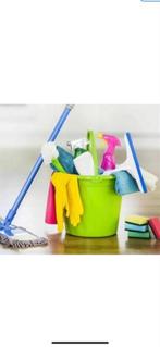 Vaste schoonmaakster beschikbaar, Ophalen of Verzenden, Overige typen