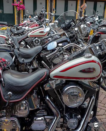 harley Springer Rally flsts flstsc heritage davidson softail beschikbaar voor biedingen