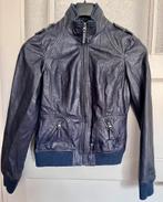 Donkerblauwe Damesjas maat M, Ophalen of Verzenden, Nieuw, Blauw