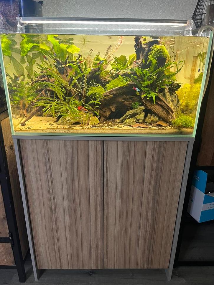 Compleet aquarium 138L + meubel + Oase Biomaster 350 filter, Dieren en Toebehoren, Vissen | Aquaria en Toebehoren, Zo goed als nieuw