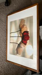 Te koop foto/schilderij tulpen, Ophalen, Zo goed als nieuw, Schilderij, 50 tot 75 cm