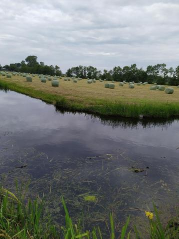 TOP paardenhooi/hooibalen/rondebalen/voordroog gras/kuilgras beschikbaar voor biedingen