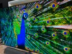 Philips 65 inch Ambilight met soundbar Bowers & Wilkins., Ophalen, Zo goed als nieuw, HDMI, LED