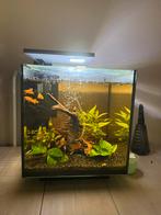 Aquarium te koop qube 30, Dieren en Toebehoren, Vissen | Aquaria en Toebehoren, Ophalen of Verzenden, Zo goed als nieuw, Leeg aquarium