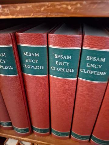 Sesam Encyclopedie - Complete Serie beschikbaar voor biedingen