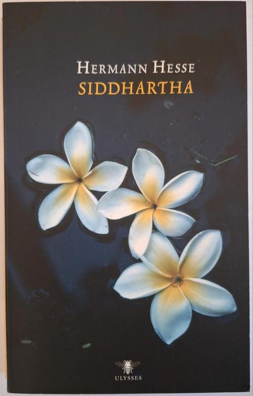 Hermann Hesse - Siddhartha, Boeken, Literatuur, Zo goed als nieuw, Nederland, Ophalen of Verzenden