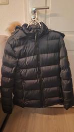 Zavetti Canada Winterjas - XL, Zavetti Canada, Zwart, Maat 56/58 (XL), Ophalen of Verzenden