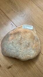 Deel van opperarmbeen mammoet, Verzamelen, Mineralen en Fossielen, Ophalen of Verzenden, Fossiel