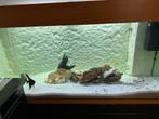 Aquarium, Ophalen, Zo goed als nieuw, Leeg aquarium