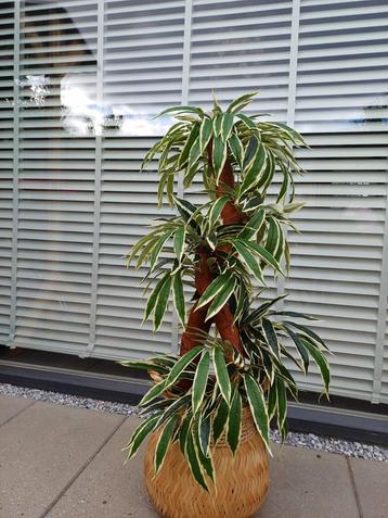 Kunstplant/Boom 120cm - Realistisch & Veelzijdig beschikbaar voor biedingen