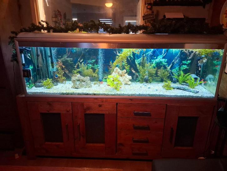 Aquarium 2m + kast en toebehoren, Dieren en Toebehoren, Vissen | Aquaria en Toebehoren, Gebruikt, Gevuld zoetwateraquarium, Ophalen