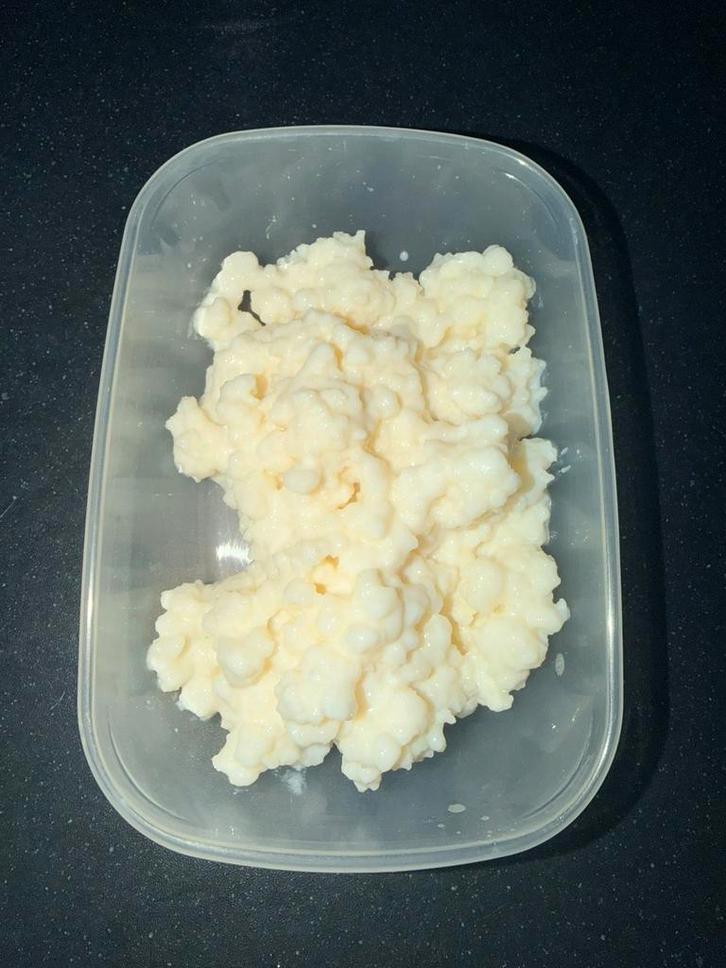 Kefirkorrels, Diversen, Levensmiddelen, Ophalen