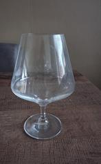 Schott Zwiesel Pure cognac glazen, Ophalen, Nieuw, Overige typen