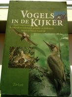 Vogels in de kijker. A vd Berg.ISBN 9052102783., Boeken, Natuur, Vogels, Ophalen of Verzenden, Zo goed als nieuw