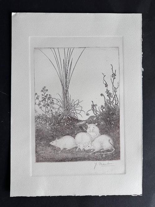 Jan Mankes ets vier muizen, Antiek en Kunst, Kunst | Etsen en Gravures, Ophalen of Verzenden