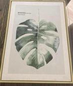Fraai schilderij met afbeelding van een blad, Ophalen, Overige materialen, 50 tot 75 cm, Zo goed als nieuw