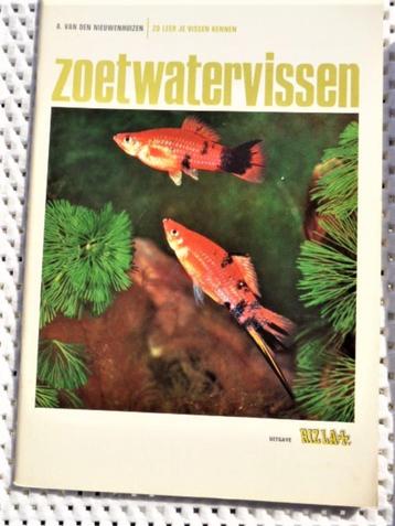 4 delen zo leer je vogels 2 en 2 vissen rizla,Natuur,RECLAME beschikbaar voor biedingen