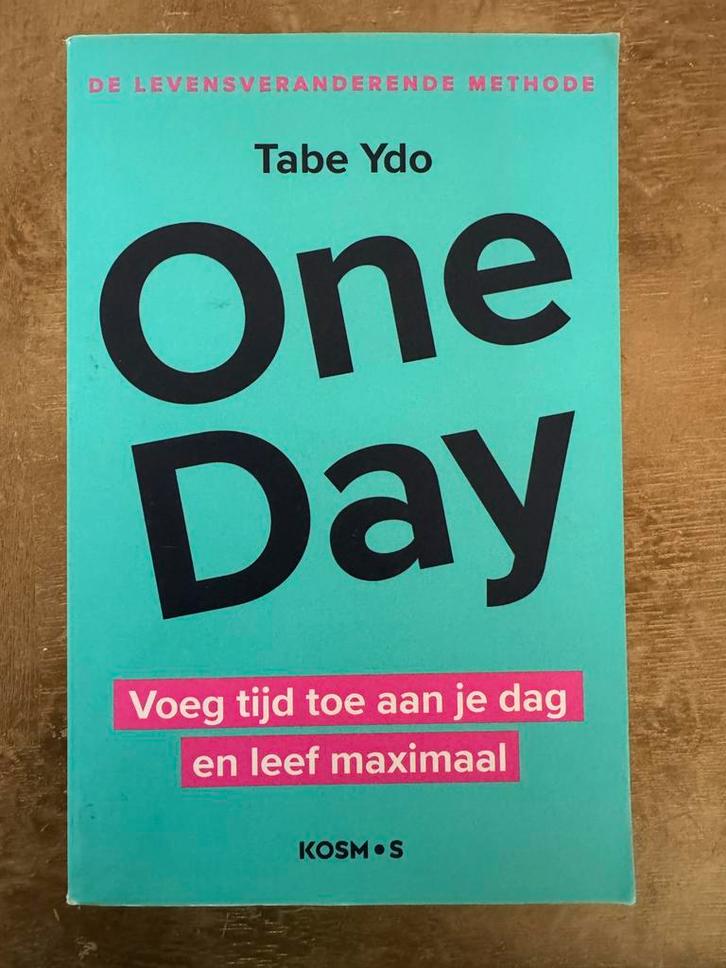 One Day - Tabe Ydo - Leef Maximaal!, Boeken, Advies, Hulp en Training, Zo goed als nieuw, Ophalen
