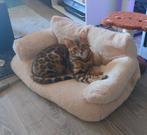 Zachte pluche dierenbed kat honden sofa in Latte kleur, Dieren en Toebehoren, Ophalen of Verzenden, Zo goed als nieuw, Pluche