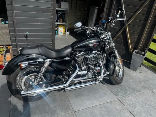 Harley davidson sportster 1200 custom 2015, Motoren, Motoren | Harley-Davidson, Particulier, Chopper, meer dan 35 kW, 2 cilinders
