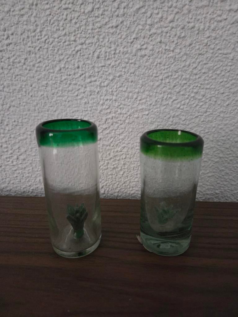 Handgeblazen tequila shot glaasjes hecho en mexico agave, Ophalen of Verzenden, Gebruikt, Overige typen
