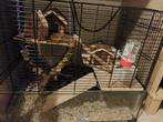 Groot hamster hok met voer en spullen, Dieren en Toebehoren, Minder dan 75 cm, Zo goed als nieuw, Ophalen, Minder dan 60 cm