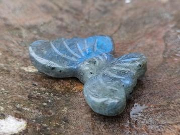 Mooie labradoriet vlinder beschikbaar voor biedingen