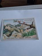 GREETINGS. FROM THE GRAND CANYON / ED CLEARY, Ophalen of Verzenden, 1980 tot heden