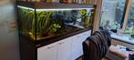 Eheim mp aquarium 180x60x60 compleet, Zo goed als nieuw, Ophalen