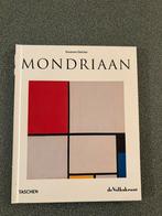 MONDRIAAN, S DEICHER, Ophalen of Verzenden, Zo goed als nieuw, Schilder- en Tekenkunst