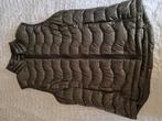 Ariat bodywarmer maat M donkergroen, Dieren en Toebehoren, Ophalen of Verzenden, Nieuw, Bovenkleding