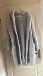 Dames angora vest met capuchon one size, R & F, Ophalen of Verzenden, Nieuw, Grijs